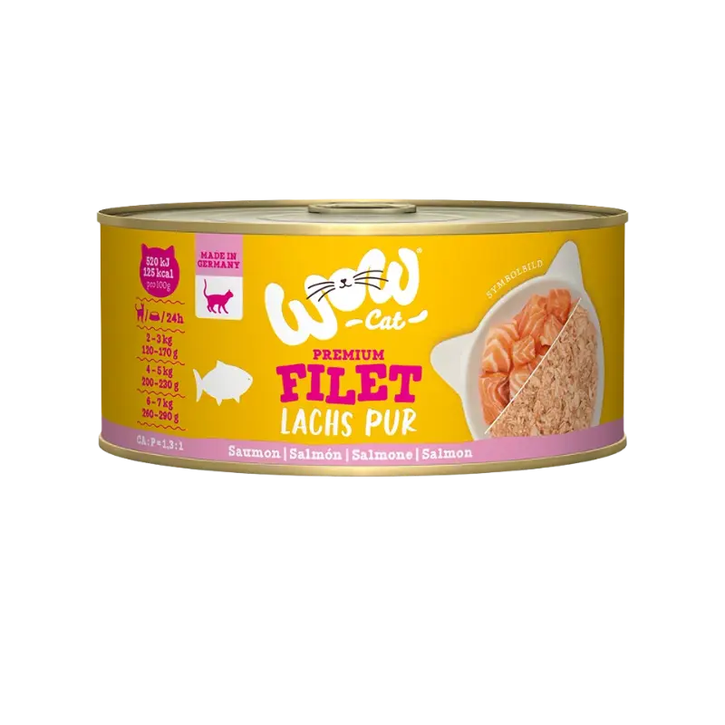 Wow Cat Dose Adult Lachsfilet 70g
