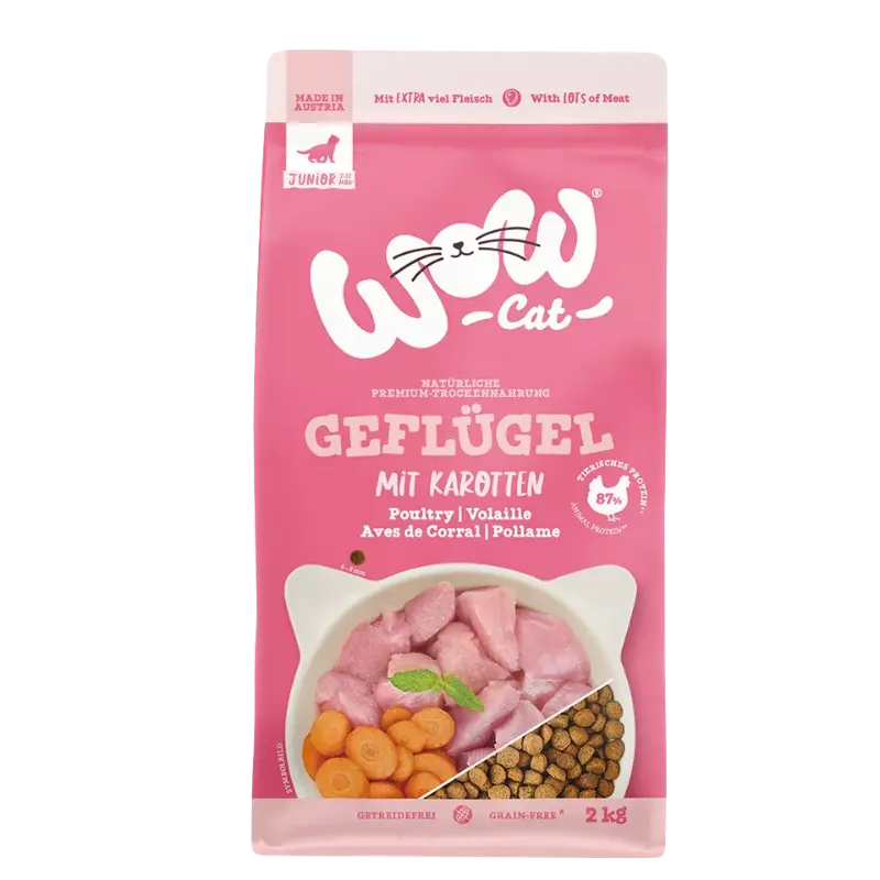 Wow Cat Trocken Junior Geflügel