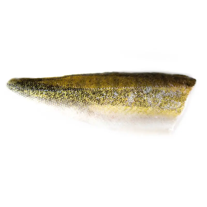 Zanderfilet (küchenfertig) TK
